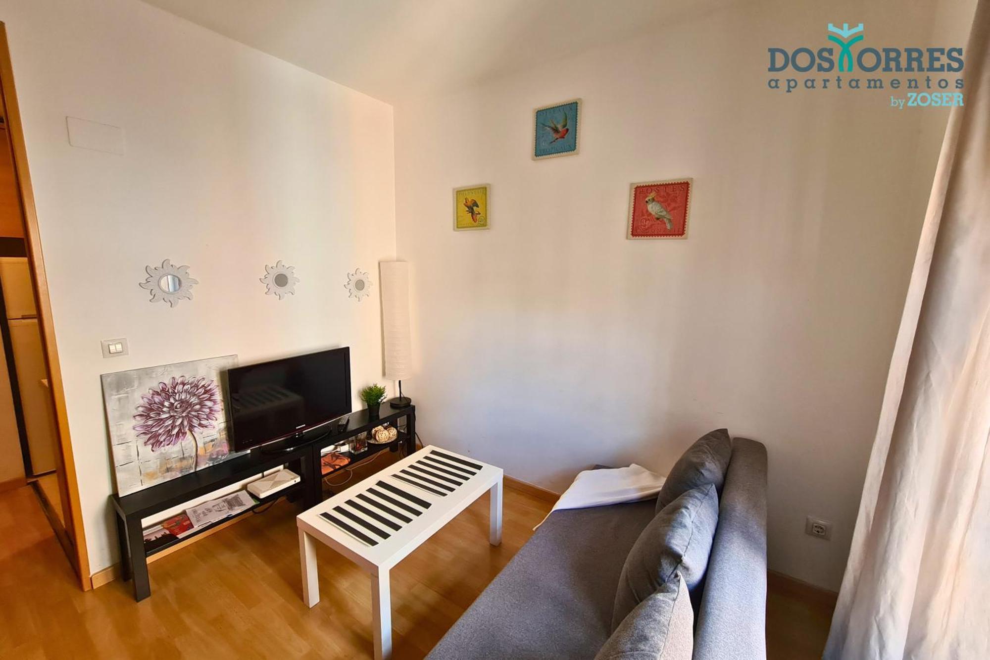 Dos Torres Pilar Suites- Balcones Con Vistas A La Ciudad 萨拉戈萨 外观 照片