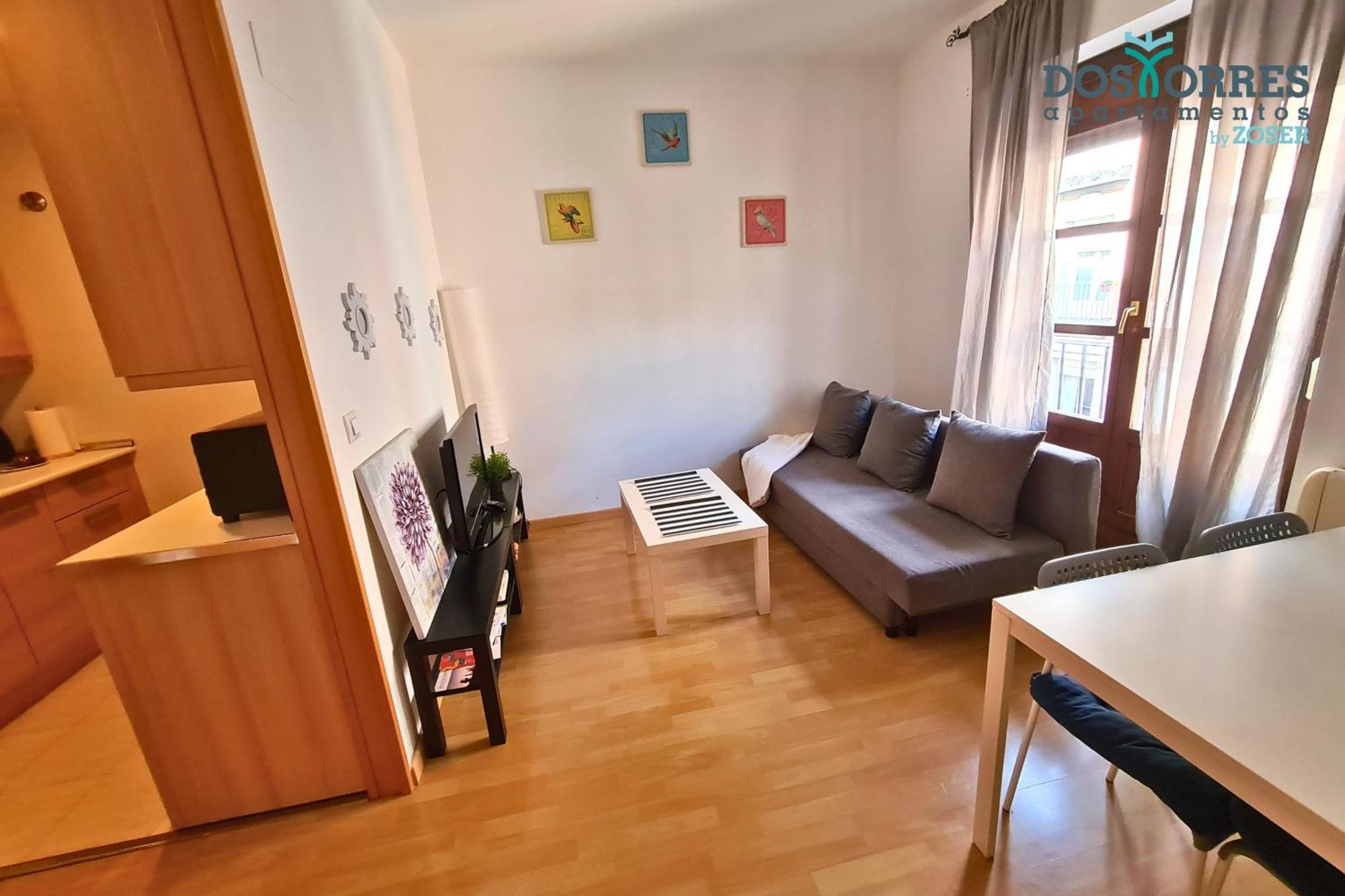 Dos Torres Pilar Suites- Balcones Con Vistas A La Ciudad 萨拉戈萨 外观 照片